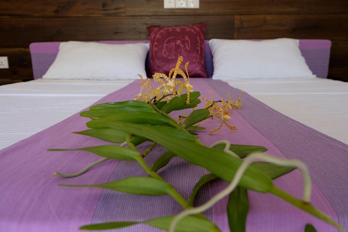Sanda Eliya Resort Bentota Eksteriør billede