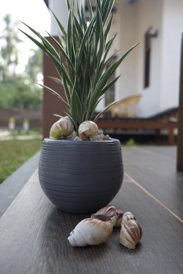 Sanda Eliya Resort Bentota Eksteriør billede