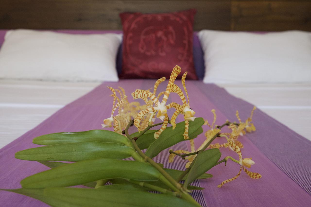Sanda Eliya Resort Bentota Eksteriør billede